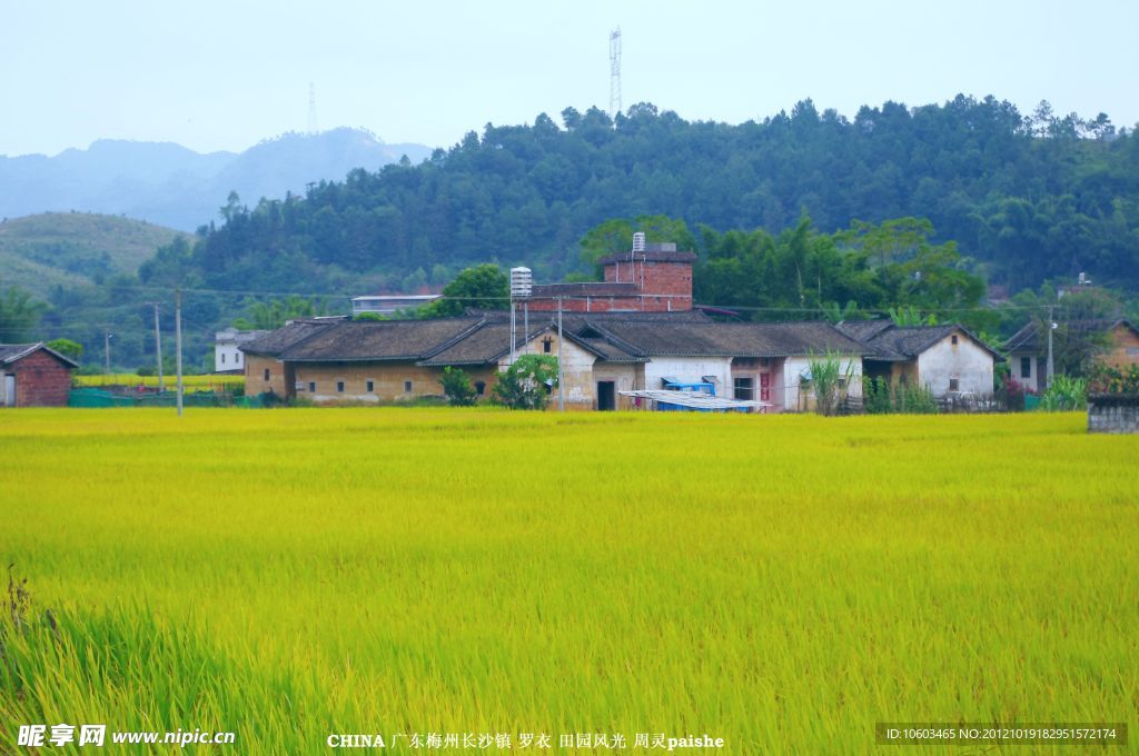 乡村 田园风光