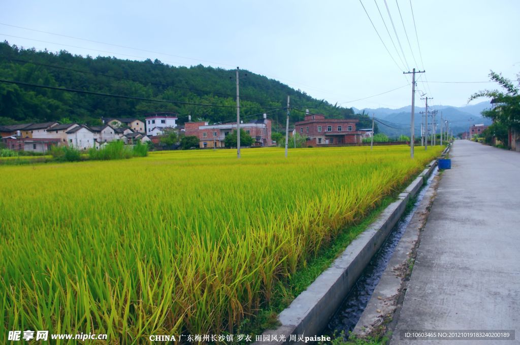 田园风光