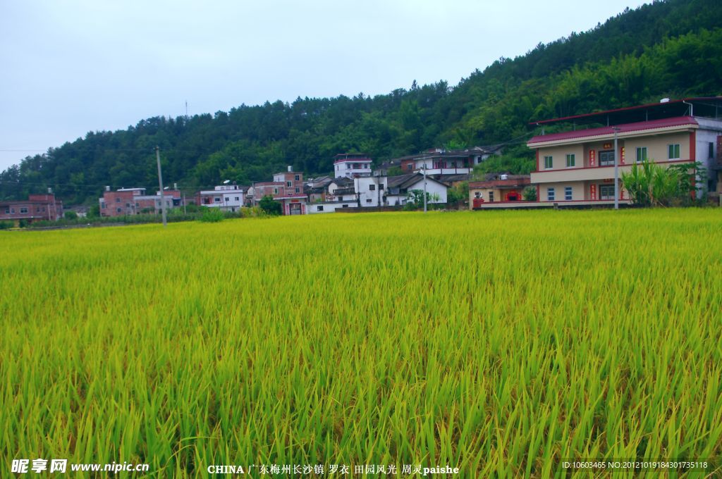 乡村 田园风光