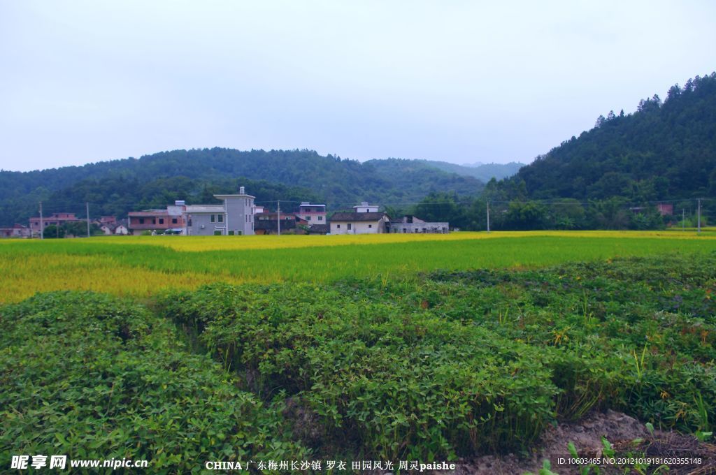 田园风光 乡村风景