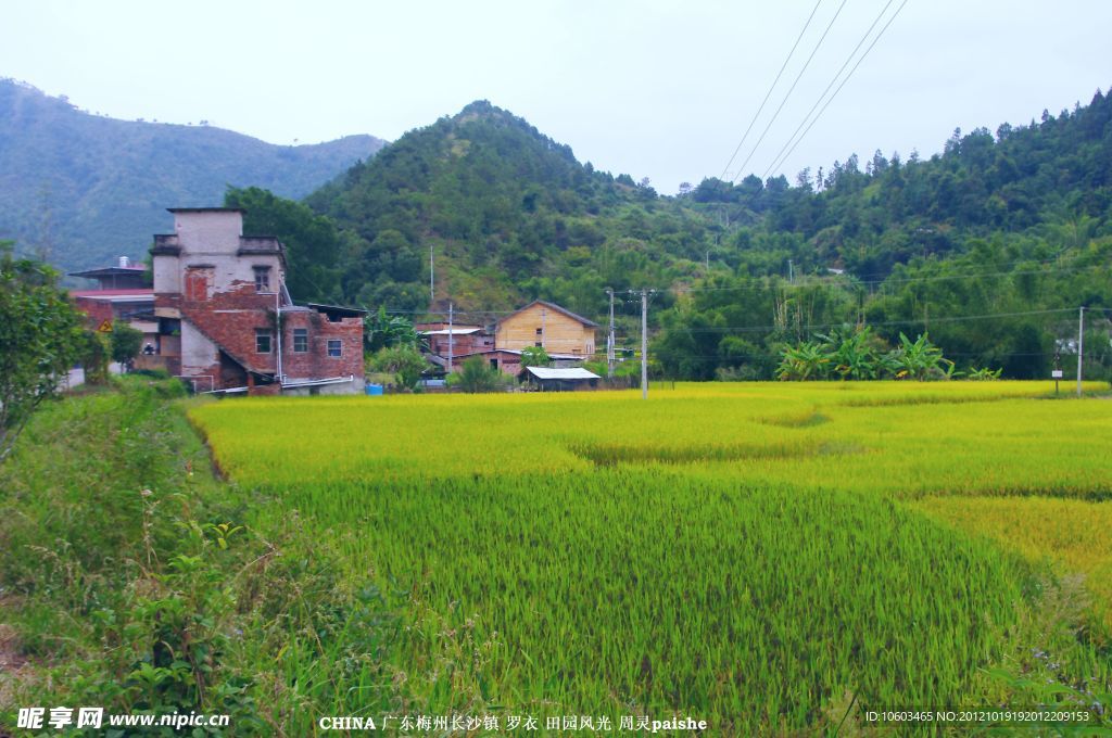 乡村 田园风光