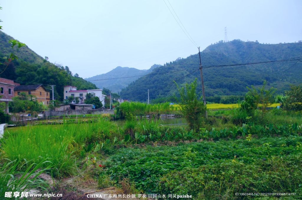 田园风光 乡村风景