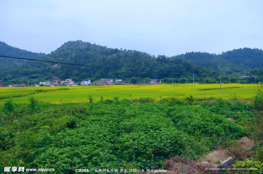 田园风光 乡村风景