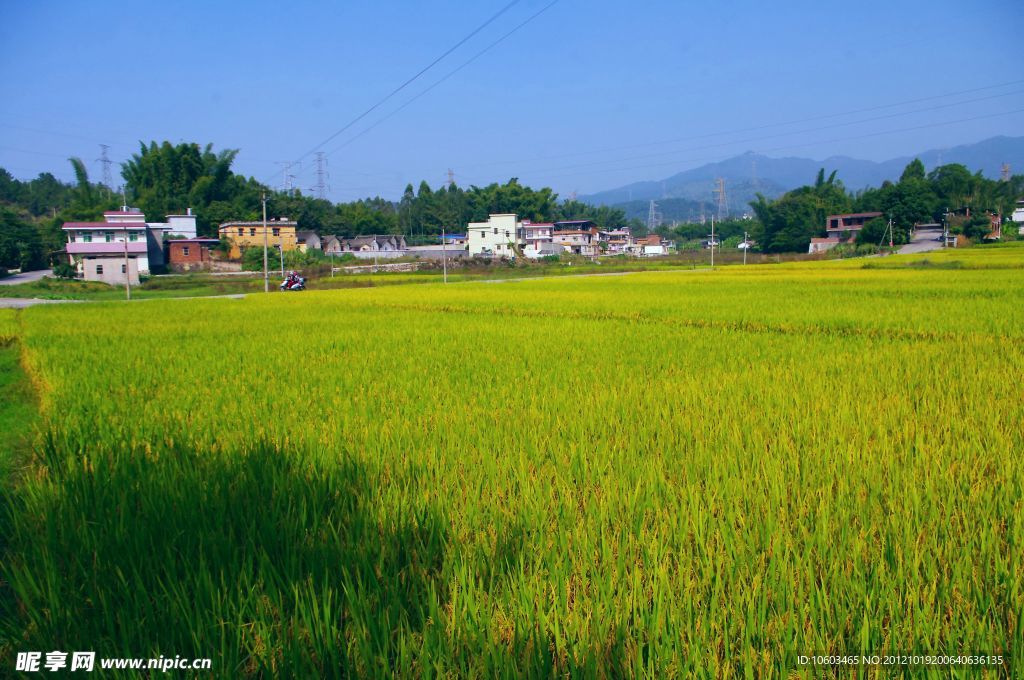乡村 田园风光