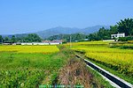 乡村田园风光 梅州长沙