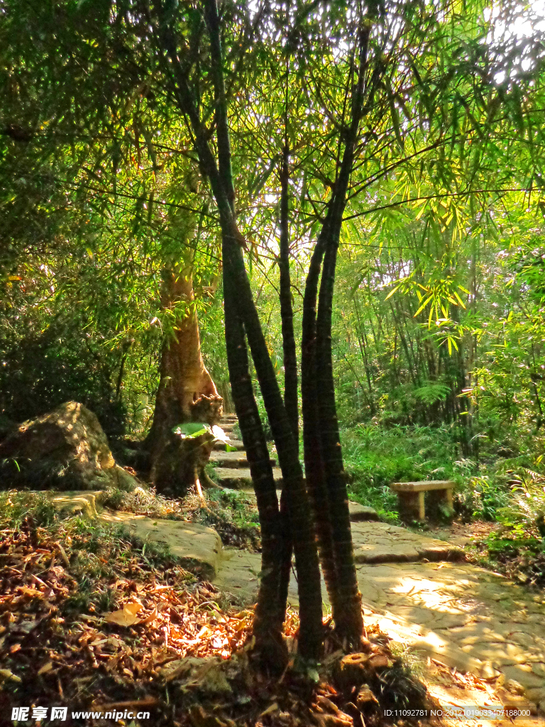林荫步道(非高清)