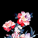 手绘韩国花卉