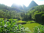 田园风光