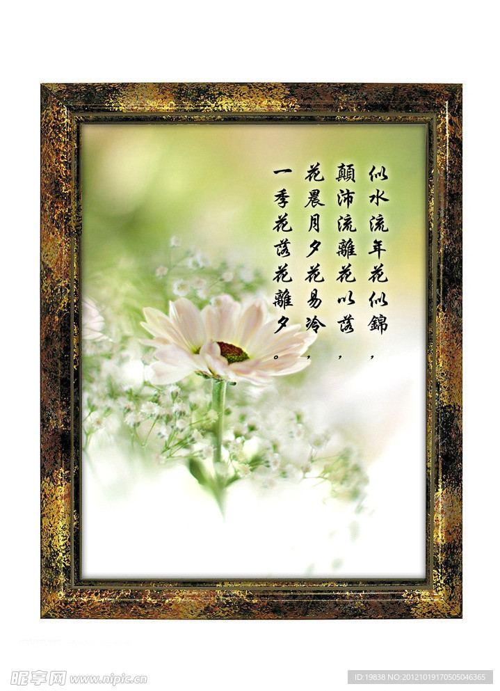 灿如春花秋如月