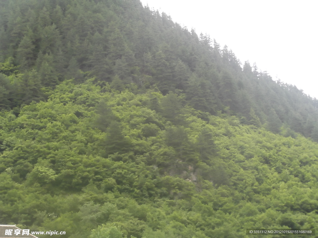 山区