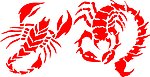 蝎子