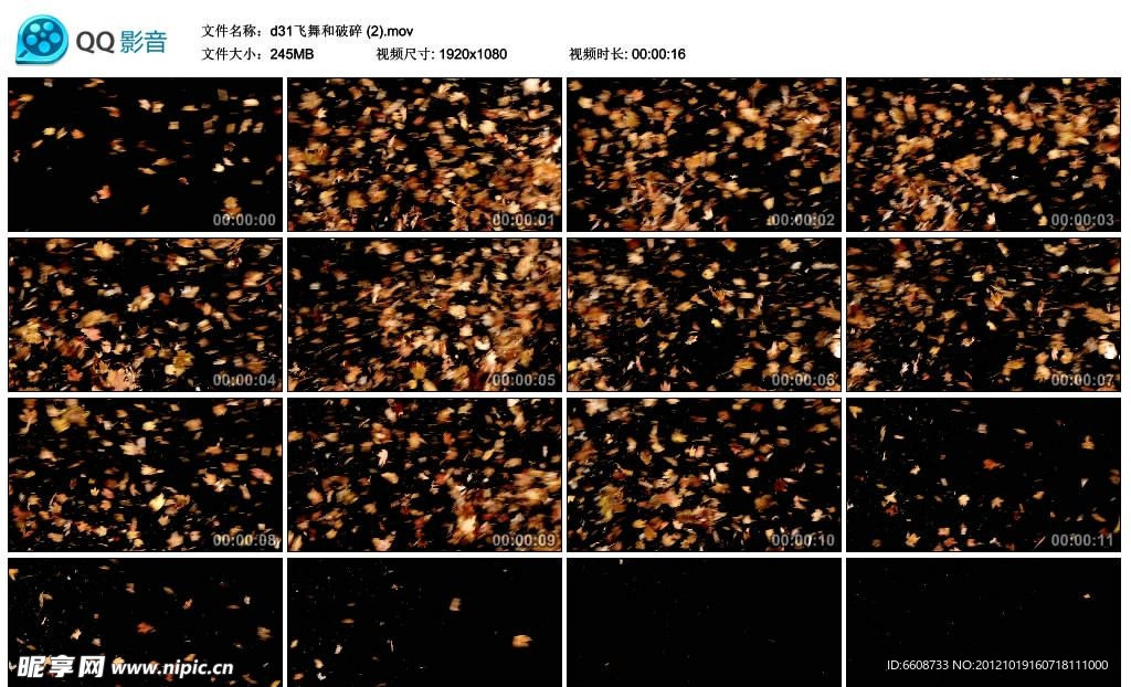 秋叶飘落高清实拍视频素材