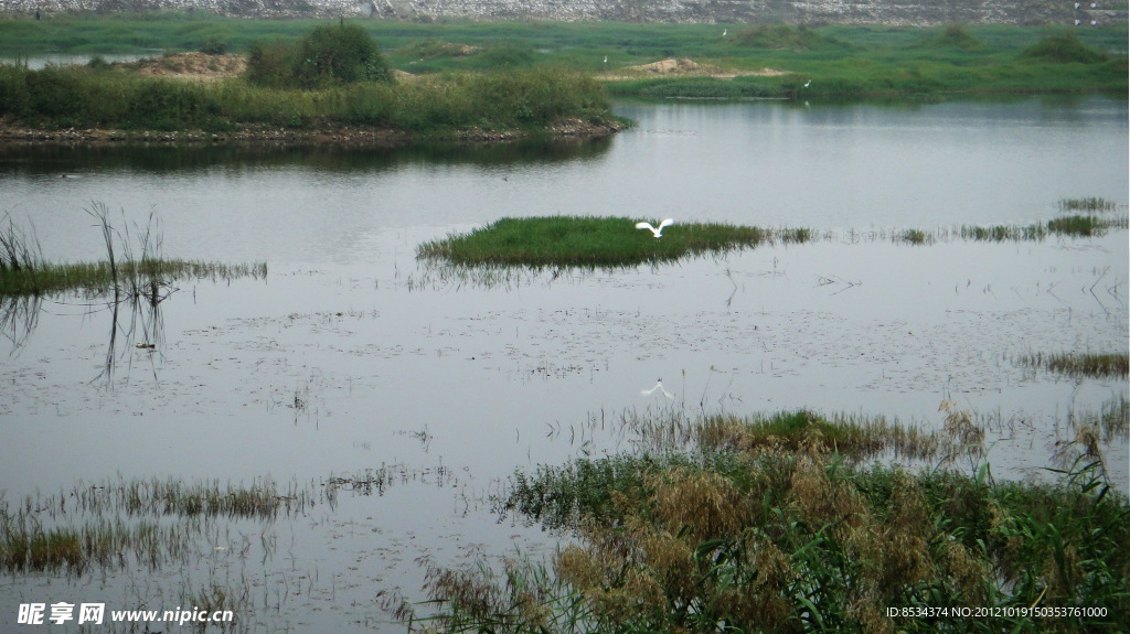 赵河水滨