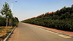 新村大道