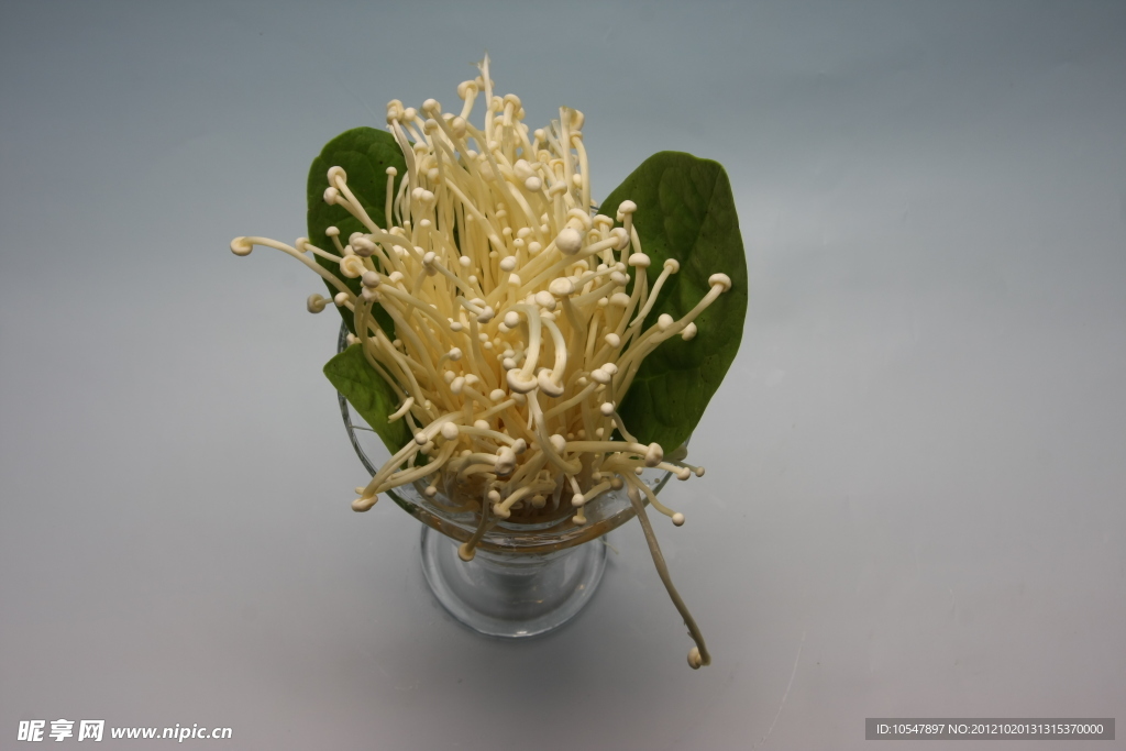 金针菇