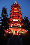 古塔 夜色