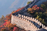 长城红叶