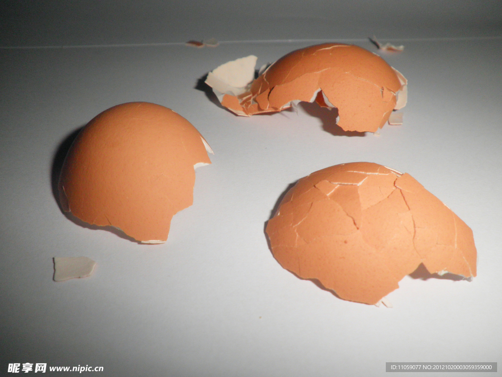 蛋壳艺术