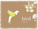 I can fly