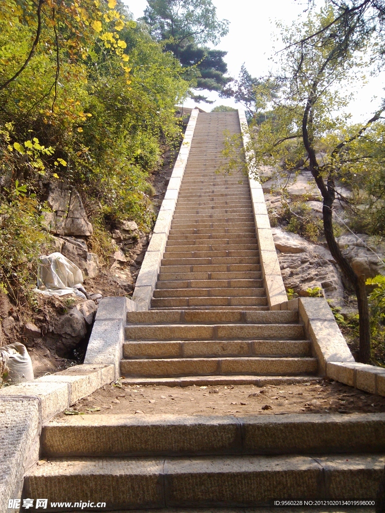 阶梯