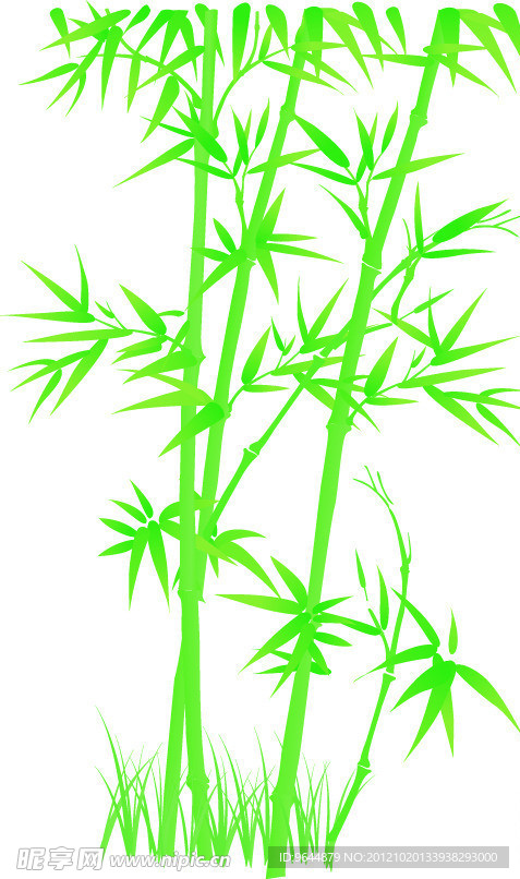 绿色竹子