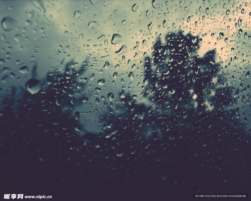 雨水