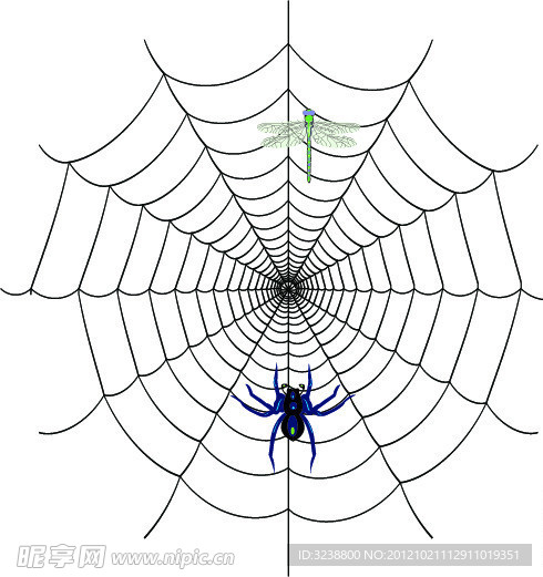 蜘蛛网矢量图