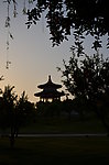 石榴花开
