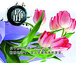 静静的读书