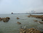 青岛