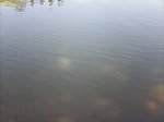 水面