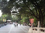 公园一角