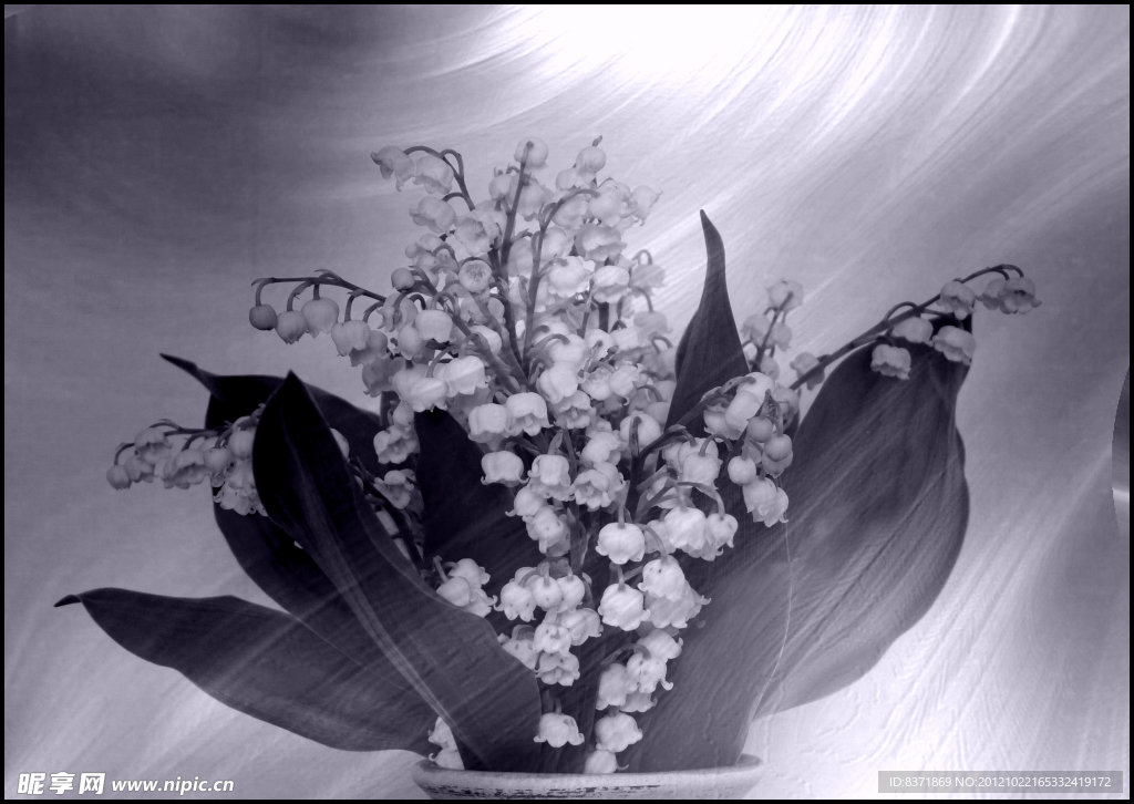 花卉