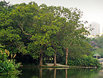 东湖公园(非高清)
