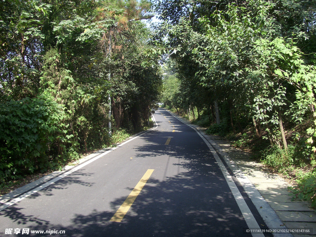 山间公路