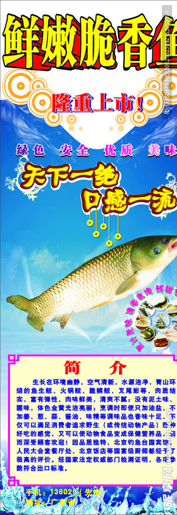 鲤鱼