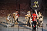 老虎驯兽师