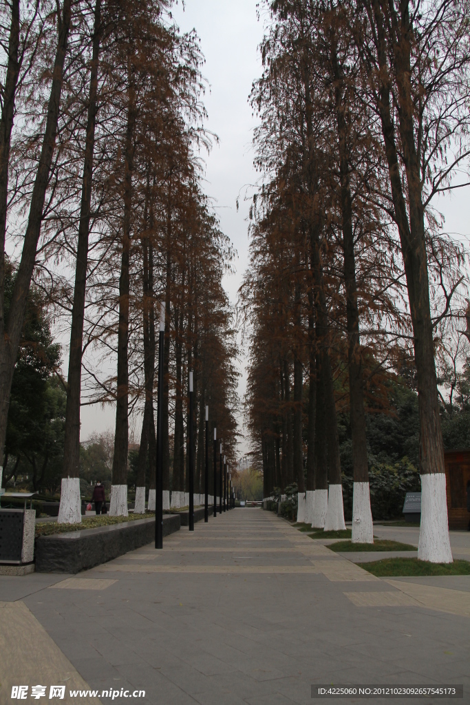 公路