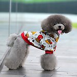 宠物衣服 宠物卫衣