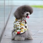 宠物衣服 宠物卫衣