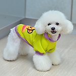 宠物衣服 蛋糕带帽卫衣