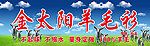 金太阳羊毛衫