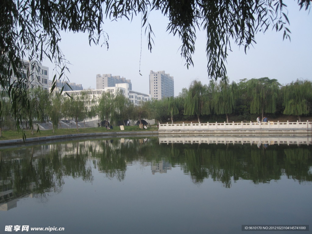 聊城大学 风景