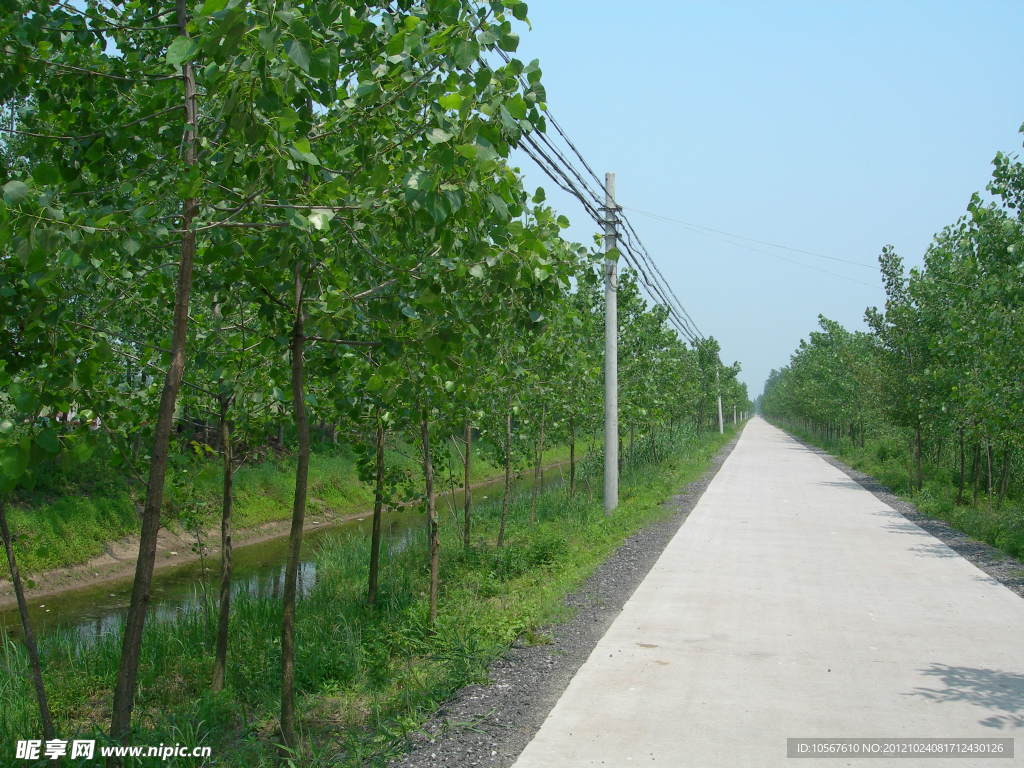 农村公路