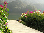 花间步道