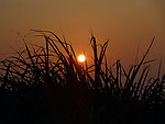 夕阳