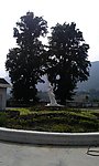 校园古树雕塑