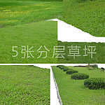 绿色草坪