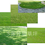 绿色草坪