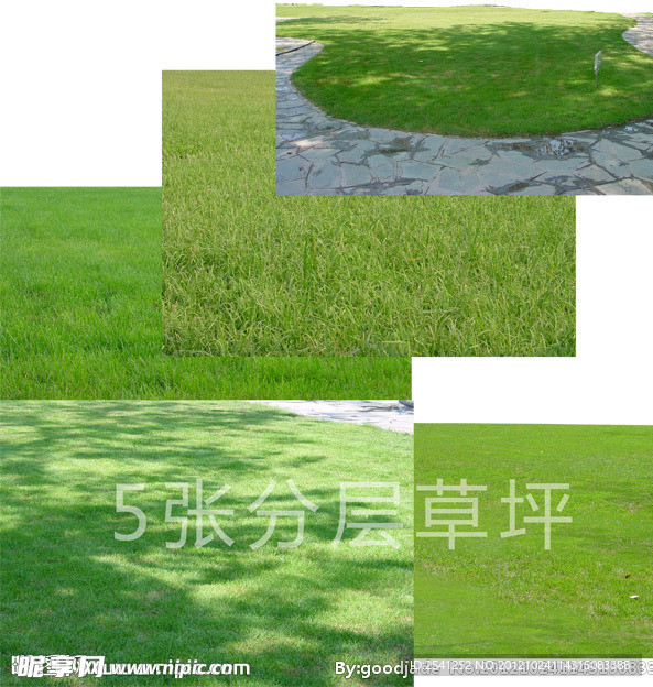 绿色草坪